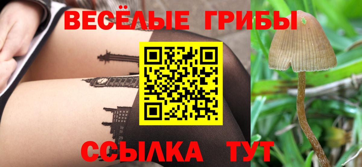 Псилоцибиновые грибы GOLDEN TEACHER Чапаевск